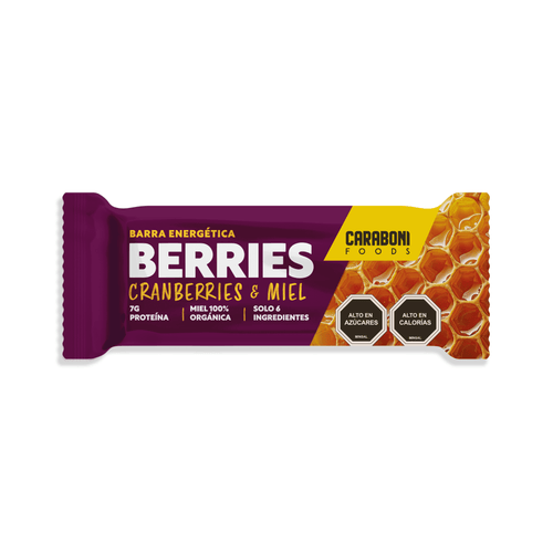 Arándanos y Semillas Snack Energético 50 gr. - Caraboni Foods